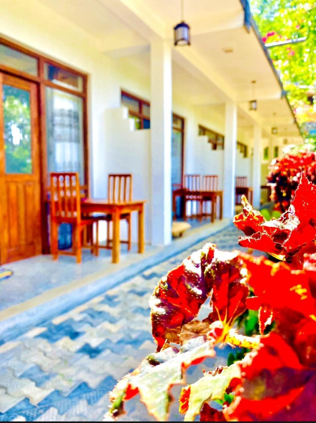 Blissful Haven Hotel เอลลา ภายนอก รูปภาพ