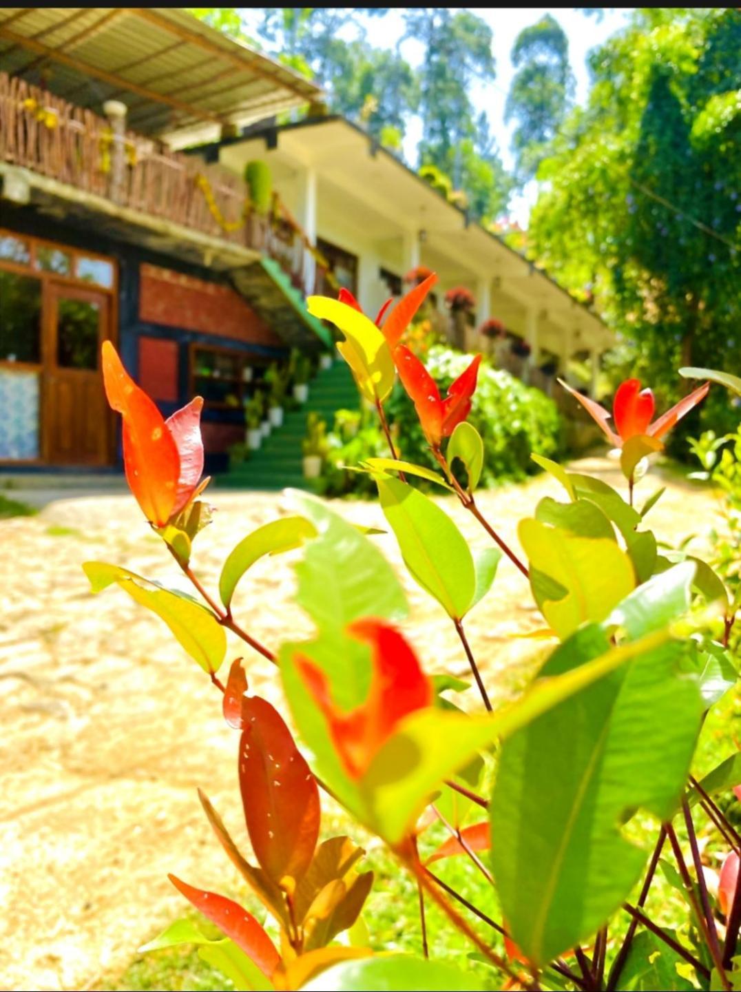 Blissful Haven Hotel เอลลา ภายนอก รูปภาพ