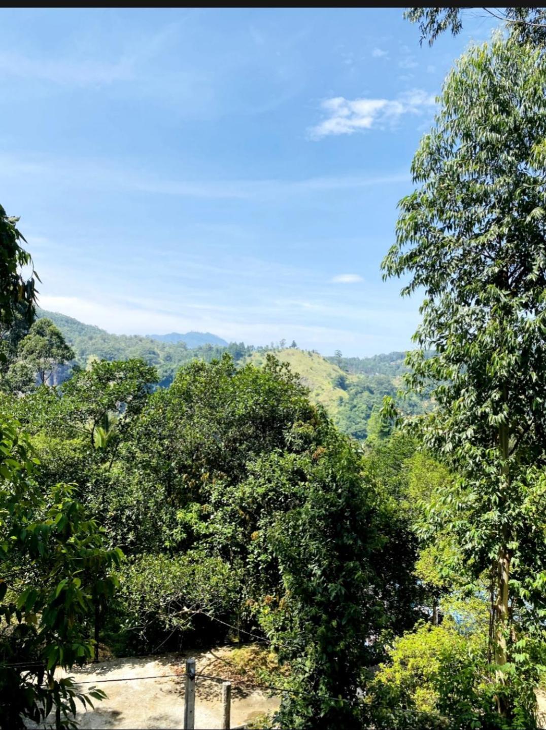 Blissful Haven Hotel เอลลา ภายนอก รูปภาพ