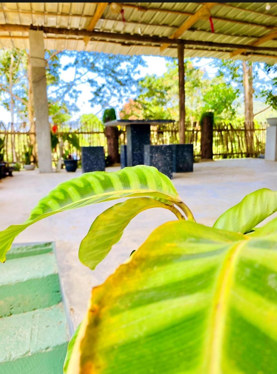 Blissful Haven Hotel เอลลา ภายนอก รูปภาพ