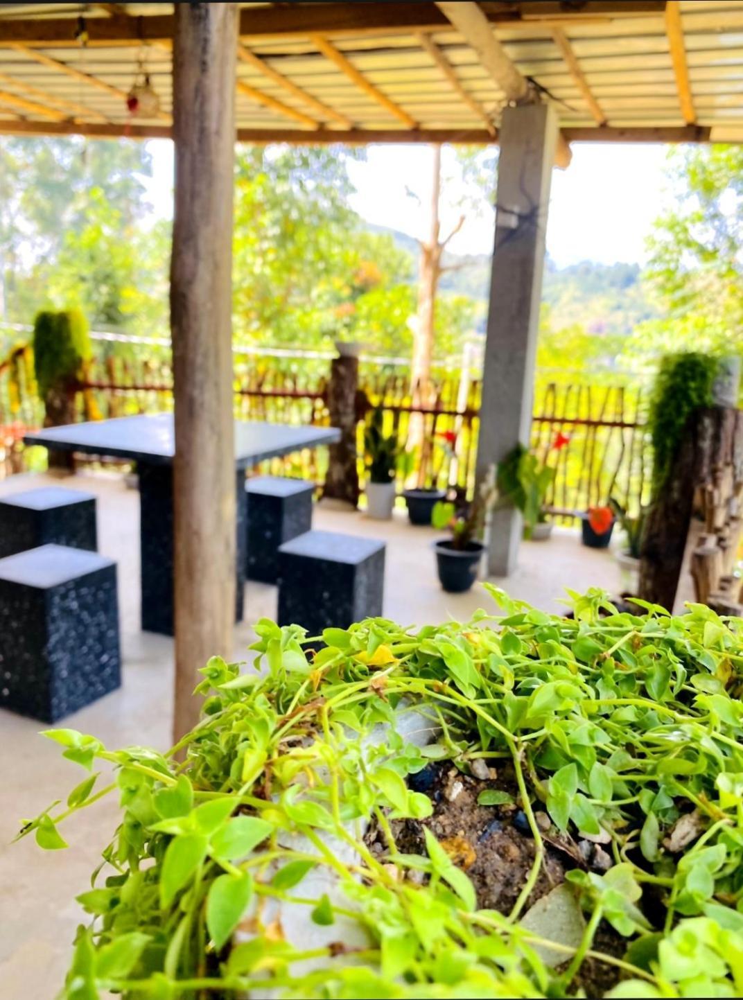 Blissful Haven Hotel เอลลา ภายนอก รูปภาพ