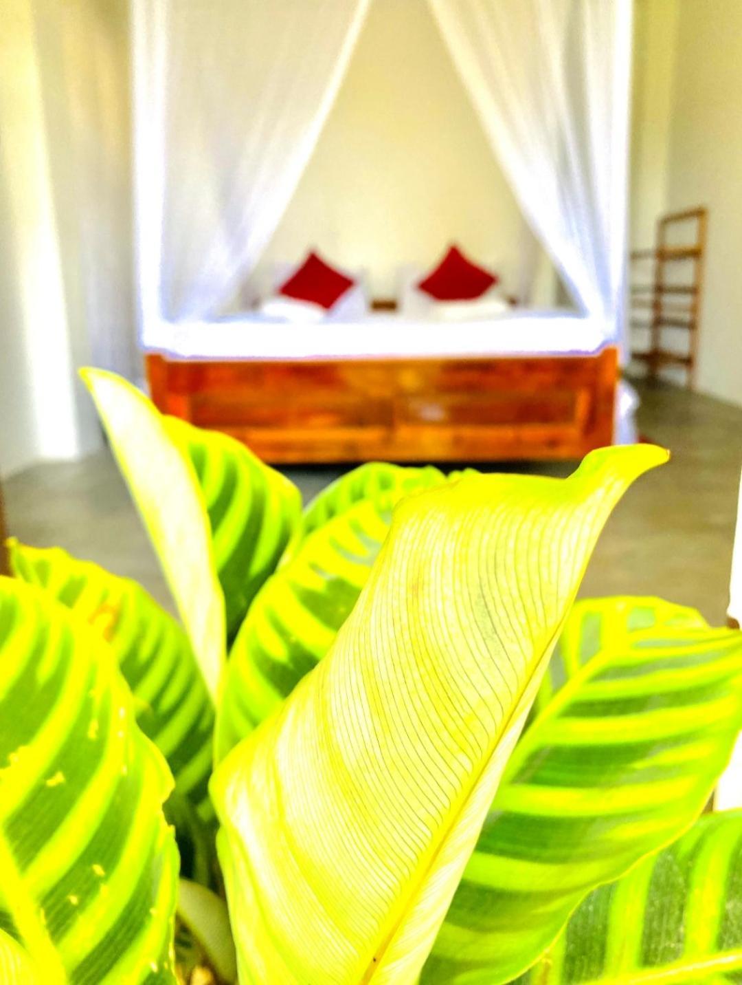 Blissful Haven Hotel เอลลา ภายนอก รูปภาพ